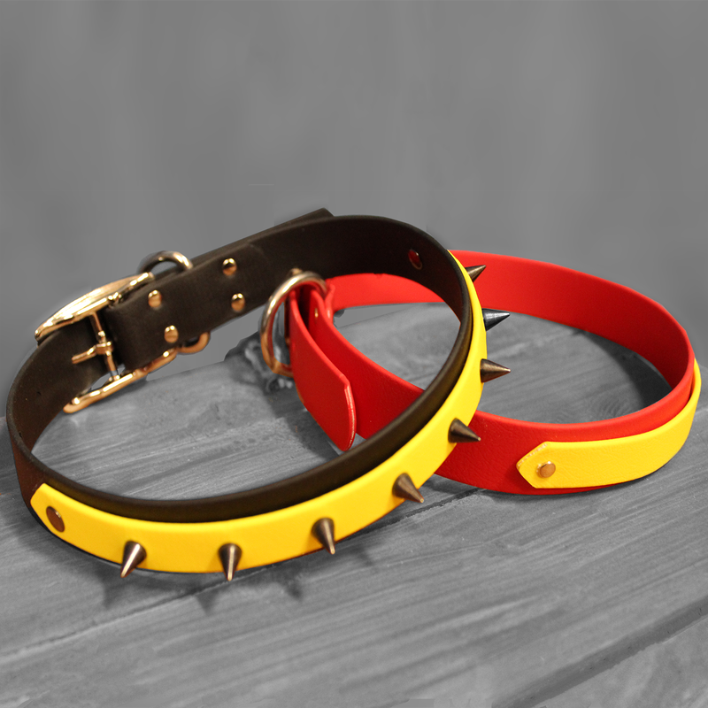 dog collars and leashes - canuck pup company